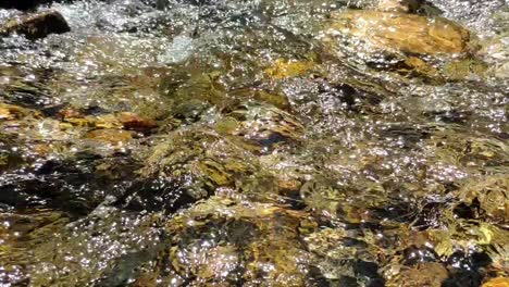 Shot-of-a-small-river-water-on-a-very-sunny-bright-day