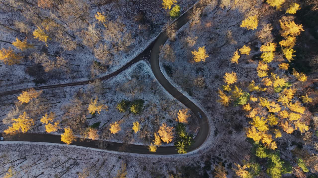 A winding road snakes through a forest captured from a top-down perspective. Golden autumn trees contrast with the light frost covering the ground, while cars travel along the curved path