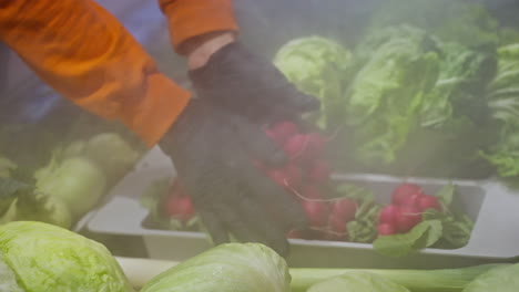 preparing fresh vegetables