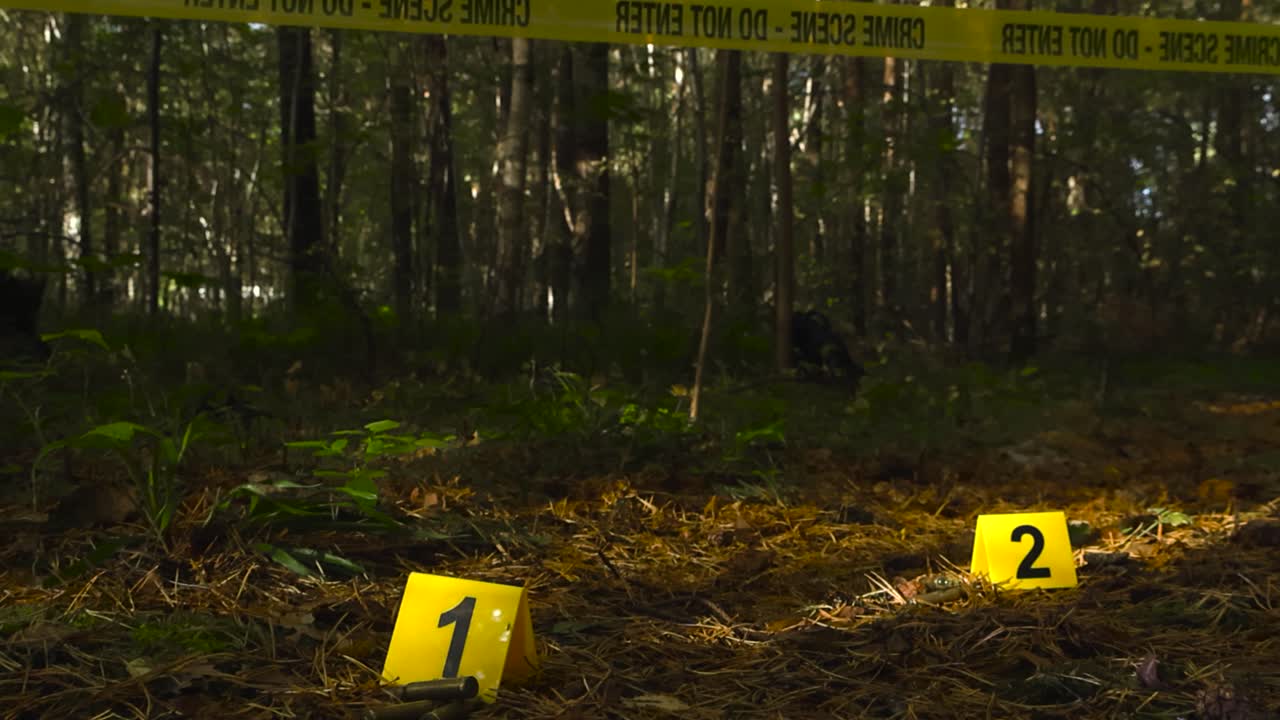 Police yellow crime markers next to bullets or ammunition ammo on a forest pine needles covered autumn ground while a crime scene forensic investigation tape hangs above it, sunny day, pine trees