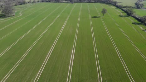 Spring-Crop-Field-Aerial-View-Agriculture-Farmland-Trees-Pattern-Lines-Tracks