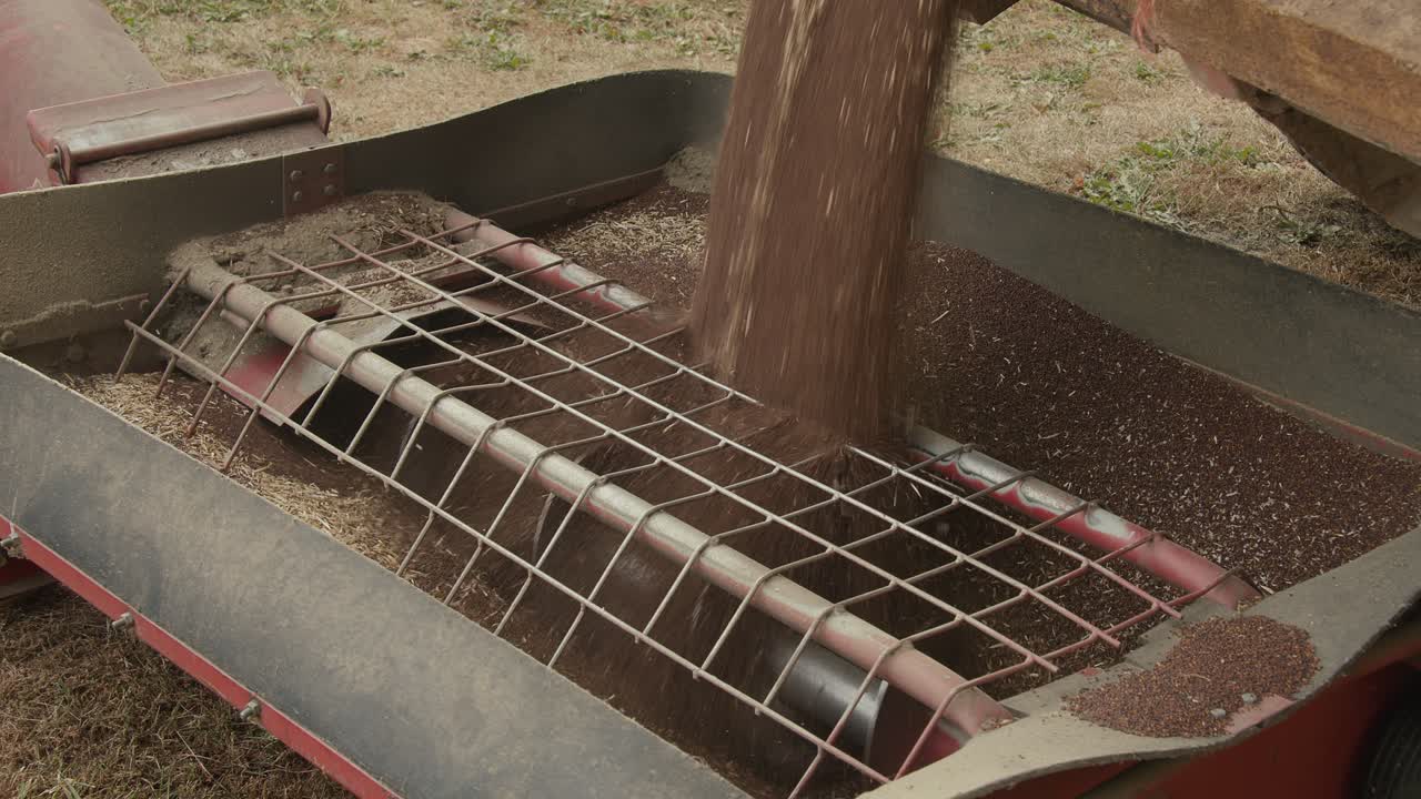 Trasferimento di canola da un camion in un contenitore con una coclea al rallentatore