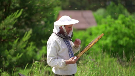 beekeeper in protective workwear. beekeeper holding honeycomb full of bees