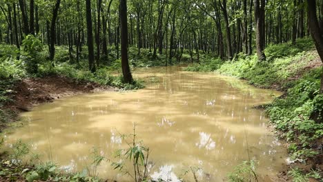 Técnica-De-Recolección-De-Agua-De-Lluvia-Esta-Técnica-Se-Adopta-Para-Ahorrar-Agua-Que-Se-Desperdicia-A-Través-De-Laderas,-Ríos,-Nalas