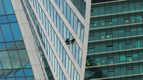 professional window cleaners at work