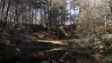 Una-Antigua-Cantera-De-Granito-Ahora-Un-Estanque-En-Tollohill-Woods-Cerca-De-Aberdeen,-Escocia