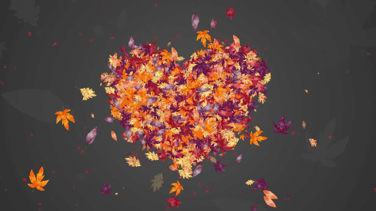 Autumn yellow and red leaves in shape of heart. Animation tree leaf on gray abstract looped background.