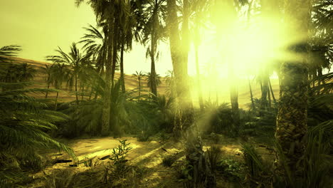 sunlight filters through lush tropical palms in serene forest setting