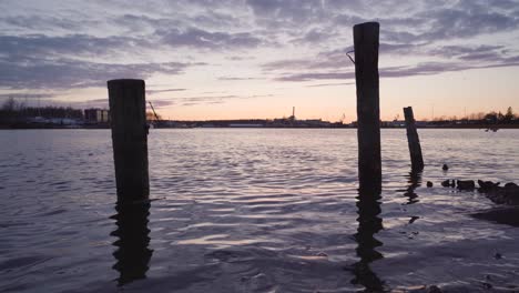 wooden poles in the sea after the sunset