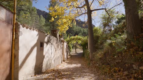 Pfad-Im-Mediterranen-Wald-Mit-Pappeln-Und-Bäumen,-Vorbei-An-Einem-Steinhaus