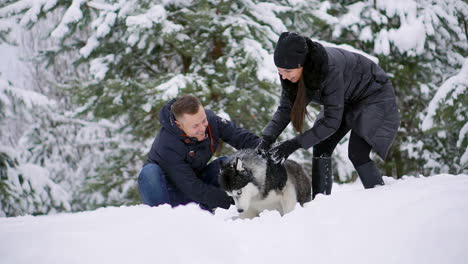 woman and man play with dog in snow.