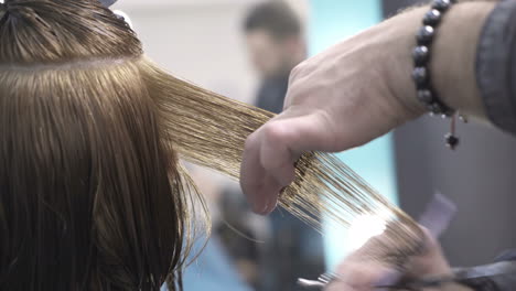 beautiful woman getting haircut by hairdresser in the beauty salon