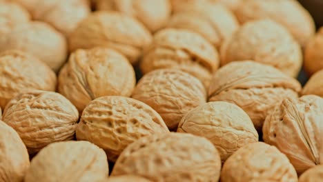 looped spinning walnuts with shells close-up full frame background