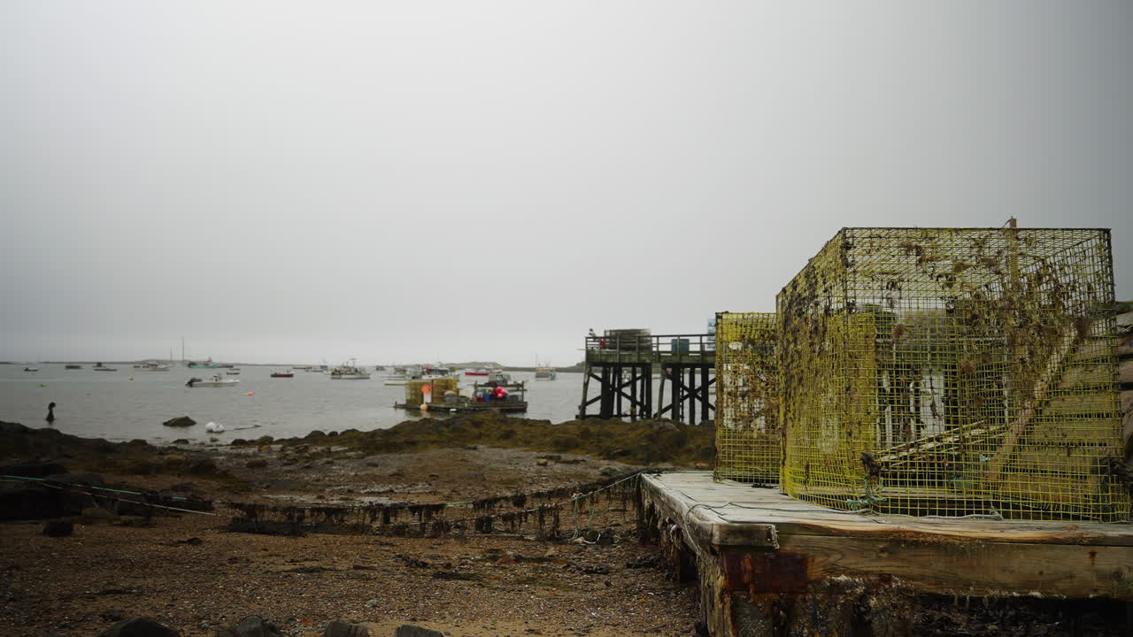 Cool shot of lobster traps on raft beached on the coast with seaweed growing and marina in background 4k 60p