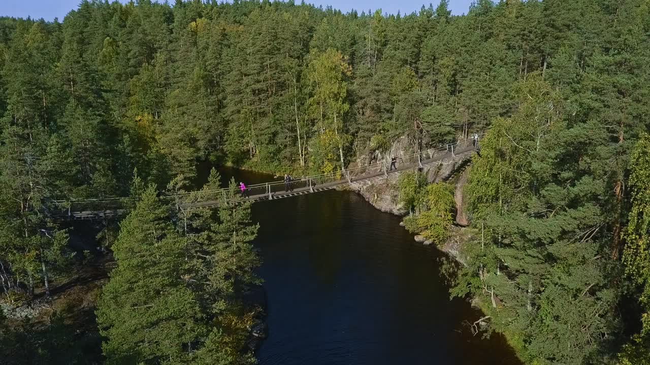 puente flotante sobre cuerdas sobre un lago o un arroyo en un bosque, verano, toma aérea reveladora