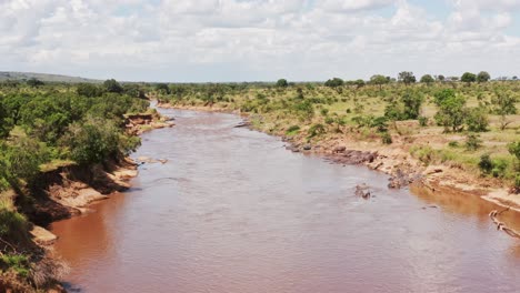 immagine aerea di un gruppo di ippopotami sulle rive del fiume masai mara, vista dal drone di un bellissimo paesaggio verde africano nella riserva nazionale di masai mara, kenya, africa