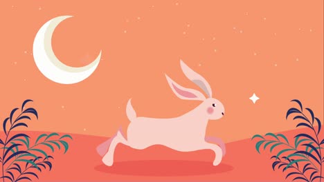 un conejo lindo corriendo por la noche animación