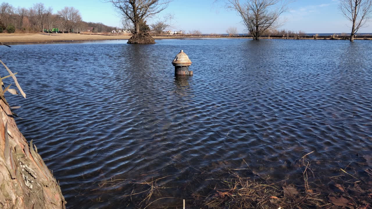 hidrante parcialmente sumergido bajo el agua hasta la bandeja de inundación permanente desde detrás del árbol para revelar inundaciones en el parque wolfe's pond