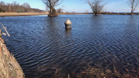 Fire-hydrant-partially-submerged-under-water-do-to-permanent-flooding-Pan-from-behind-tree-to-reveal-flooding-in-Wolfe's-Pond-Park