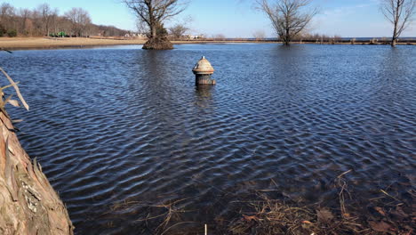 hidrante parcialmente sumergido bajo el agua hasta la bandeja de inundación permanente desde detrás del árbol para revelar inundaciones en el parque wolfe's pond