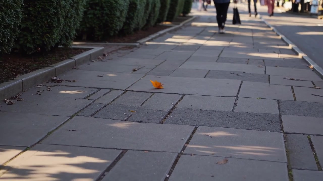 Single Yellow Leaf Blowing Across a Sunny City Sidewalk