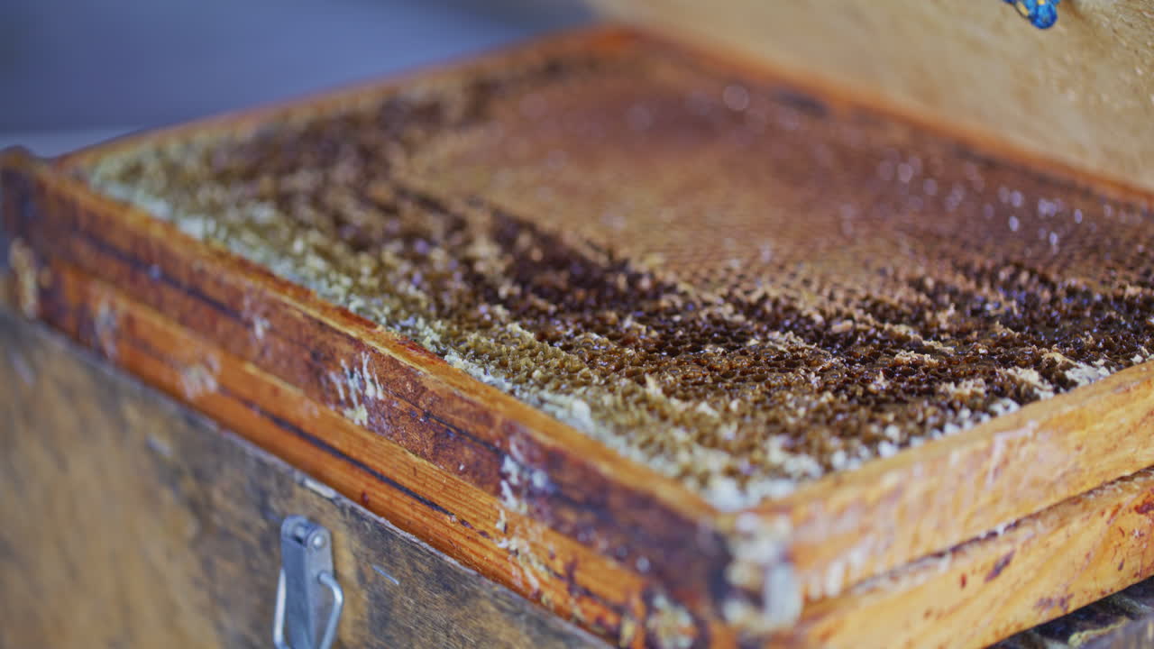 Close-Up of Frames with Honeycombs