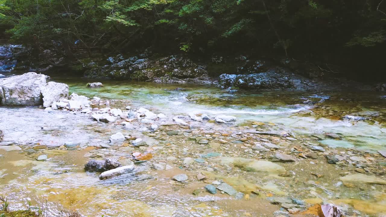 Serene water flow landscape, stone river below natural green mountain valley at Japan