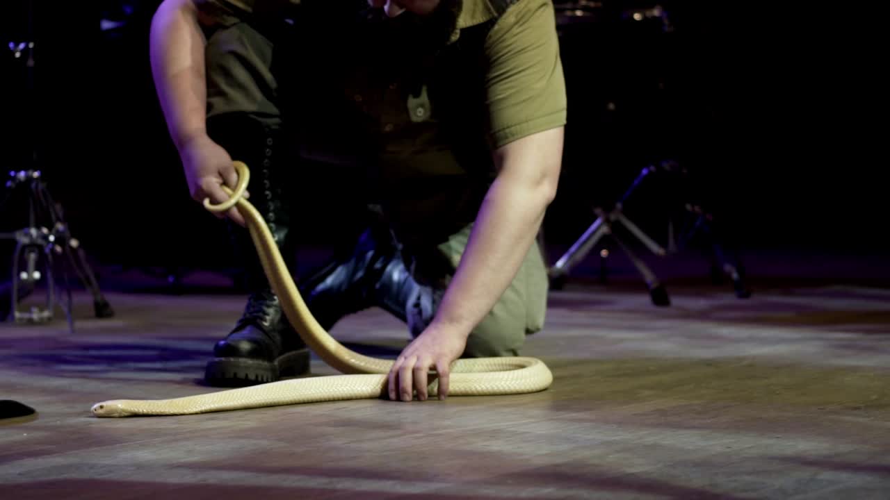 el manejador de serpientes en el escenario