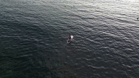 Aerial-top-down-shot-of-Man-on-stand-up-paddle-exploring-Indian-ocean-in-Australia-during-sunset-time