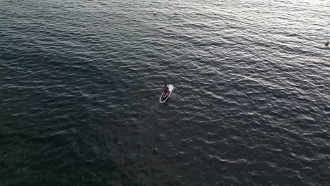disparo aéreo de arriba hacia abajo de un hombre en una paleta de pie explorando el océano índico en australia durante el atardecer