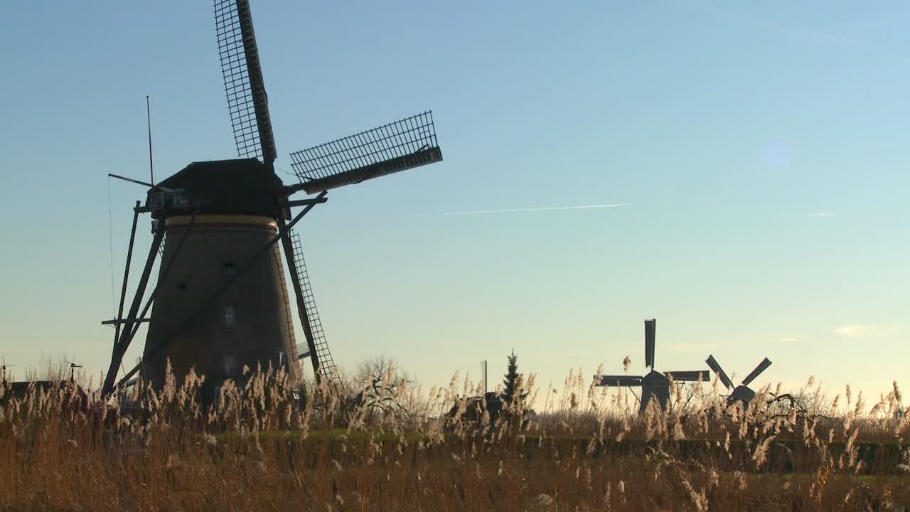 ветряные мельницы стоят в высокой траве в голландии