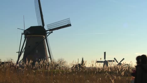 Molinos-De-Viento-De-Pie-En-La-Hierba-Alta-En-Holanda