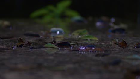 Closeup-Of-Heavy-Rain-Falling-On-The-Concrete-Ground-With-Fallen-Leaves