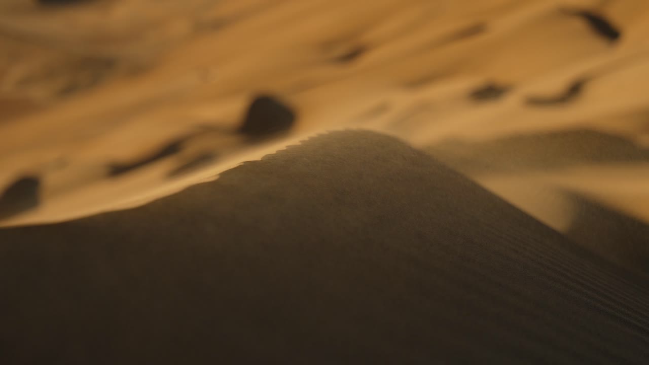 모래 언덕 황금 시간 모래와 바람