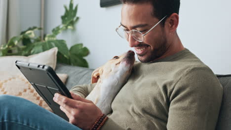 Happy,-man-and-dog-on-sofa-with-tablet-laughing