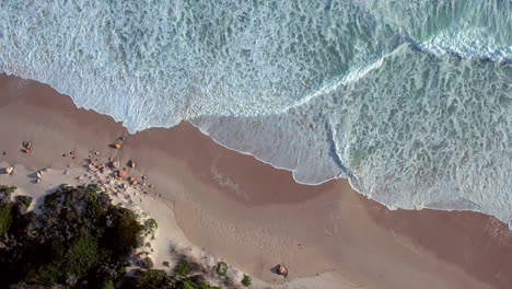 Waves-rolling-onto-the-beach-is-the-most-relaxing