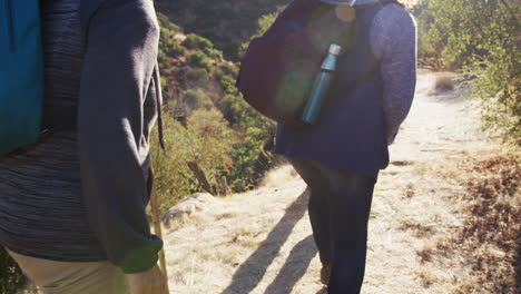 Rückansicht-Einer-Gruppe-älterer-Freunde,-Die-Gemeinsam-Auf-Einem-Wanderweg-Auf-Dem-Land-Wandern