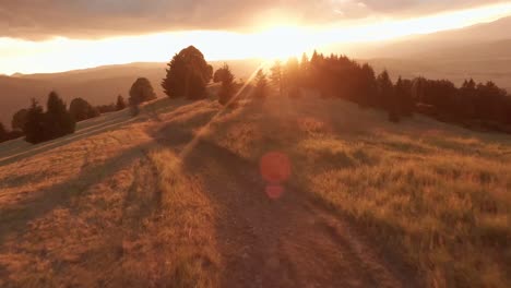 Imágenes-Aéreas-De-Un-Dron-Fpv-De-Un-Prado-Iluminado-Por-El-Sol-Durante-Una-Puesta-De-Sol-De-Verano