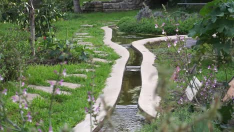 stream in the park