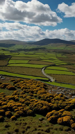 vast green countryside landscape with stone walls and winding road