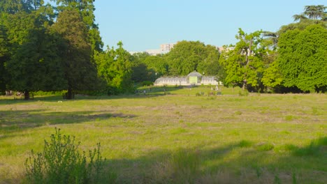 sunny day in the park of the golden head with green trees and open grass fields in lyon