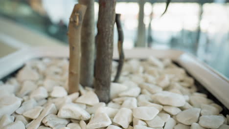 a close-up view of a decorative plant pot filled with white stones and tree branches or stems in a public indoor space. the background is blurred