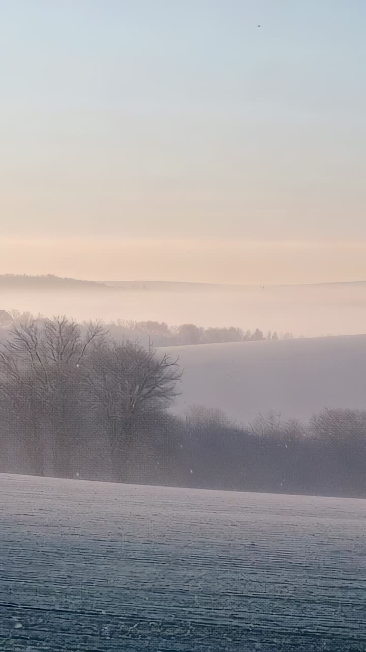 Vertical video: Warming dawn light nudging low mist across frosted field and ridge with bare trees