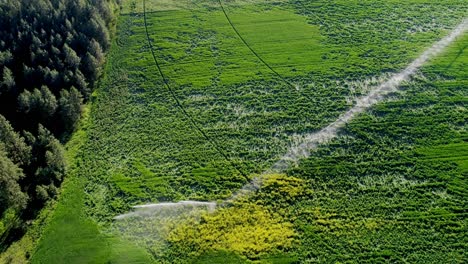 Riego-De-Cultivos-Verdes-4k