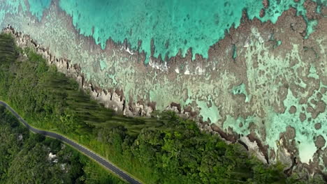 Aerial-view-of-coral-reefs-and-clear-blue-waters-on-the-coast-of-Maré-island---vertical-format