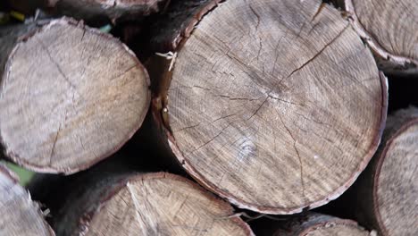 pilas de madera juntas. almacenamiento de madera. leña cortada troncos de árboles apilados preparados. movimiento circular de la cámara