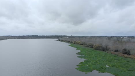 Vista-Aérea-Del-Impresionante-Paisaje-Lacustre-Lleno-De-Jacintos-De-Agua-En-Un-Día-Nublado-De-Otoño