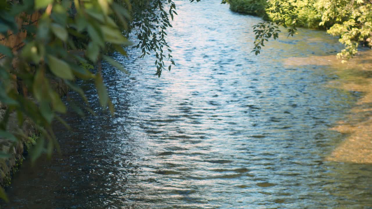 일본 교토의 녹색 잎과 아름다운 강의 슬라이드 샷 4k 슬로우 모션