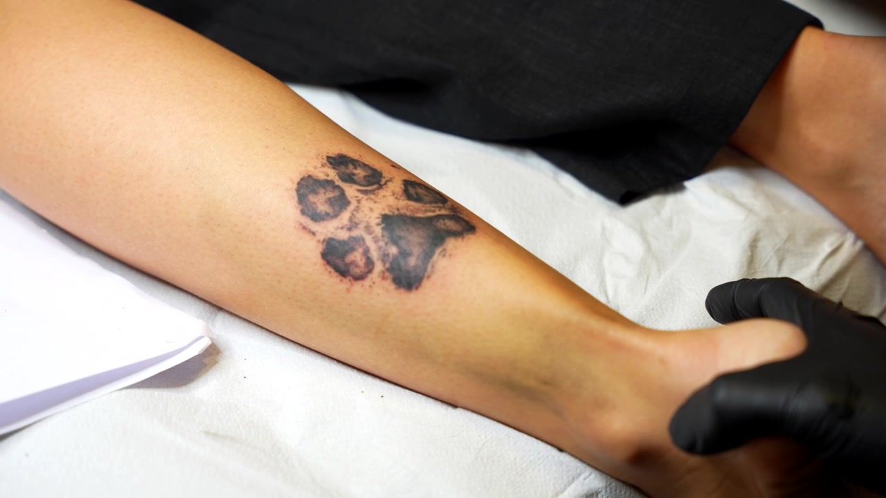 Un tatuatore con guanti neri che pulisce l'inchiostro residuo da un tatuaggio di zampa di cane sulla parte inferiore della gamba del cliente.