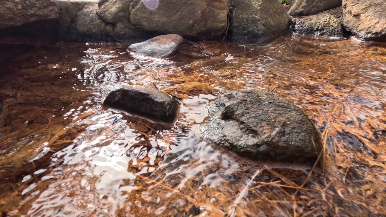 Acqua limpida che scorre su pietre e foglie